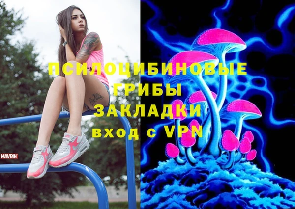 apvp Щигры