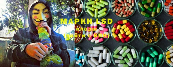PSILOCYBIN Шарыпово