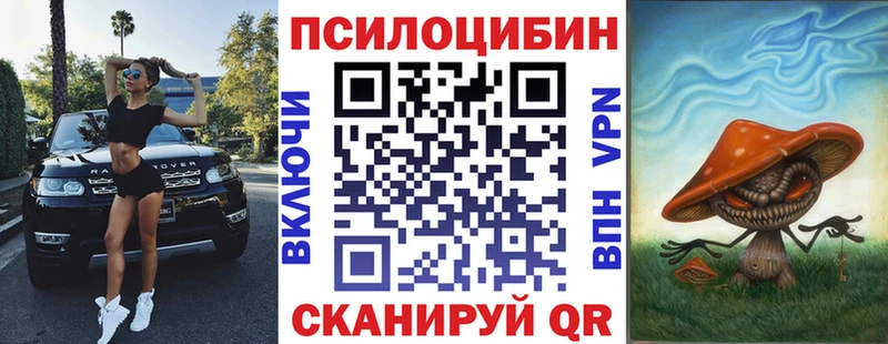 Псилоцибиновые грибы MAGIC MUSHROOMS  Купить закладки  Кызыл 